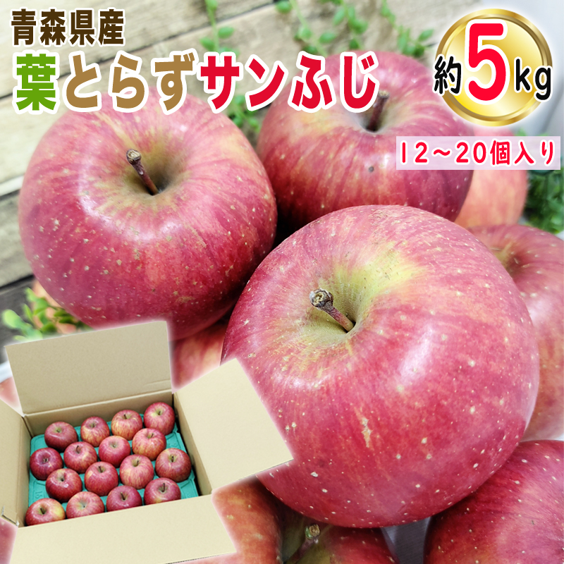 りんご 葉とらずサンふじ 3kg 7~12個入り 青森県産 産地直送 良品 グローバルギャップ認定 送料無料 :  aomori-hatorazu-sunfuji-3kg : 東北の農産特産品アグリパートナー - 通販 - Yahoo!ショッピング