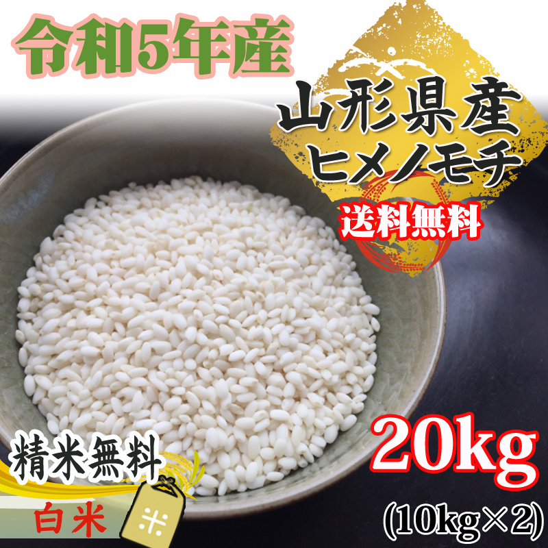 米 玄米 20kg ヒメノモチ 10kg×2袋 令和5年産 山形県産 もち米 ひめの