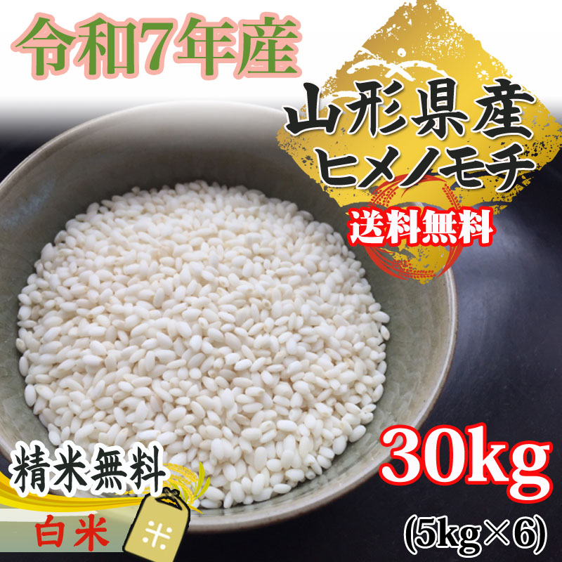 米 玄米 30kg ヒメノモチ 5kg×6袋 令和7年産 山形県産 もち米 ひめの 