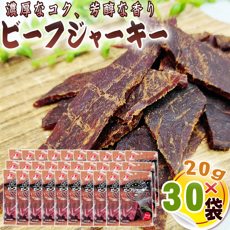 専用です。①ビーフジャーキー 180g ✖︎20袋　　お買得な訳あり ビーフジャーキー 1袋 20g 数量限定 在庫売り切り 訳あり 家飲み 宅