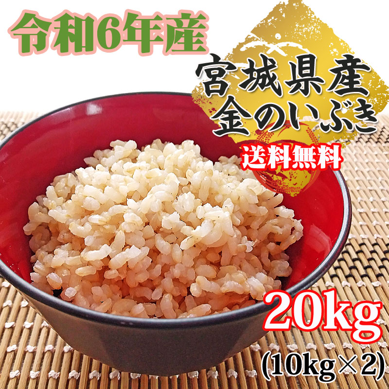 草笛　金のいぶき20kg 米 玄米 20kg (10kg×2袋) 金のいぶき 令和6年産 宮城県産 送料無料