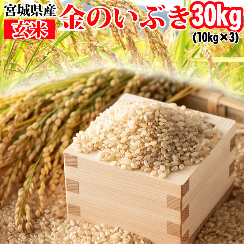 米 玄米 30kg (10kg×3袋) 金のいぶき 令和6年産 宮城県産 送料
