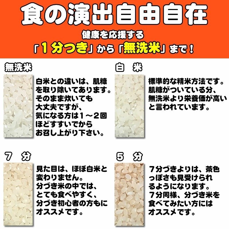 ポイント消化 お米 送料無料 お試しあきたこまち 300g (2合) 令和5 