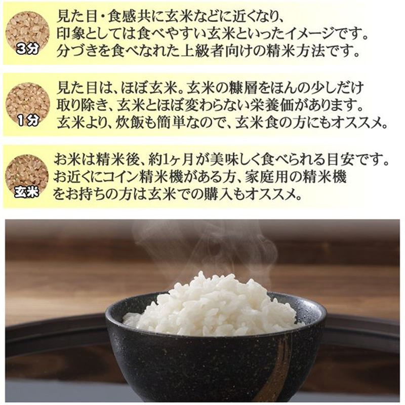 新米 米 お米 10kg×1 つや姫 玄米10kg 令和5年産 山形産 白米・無