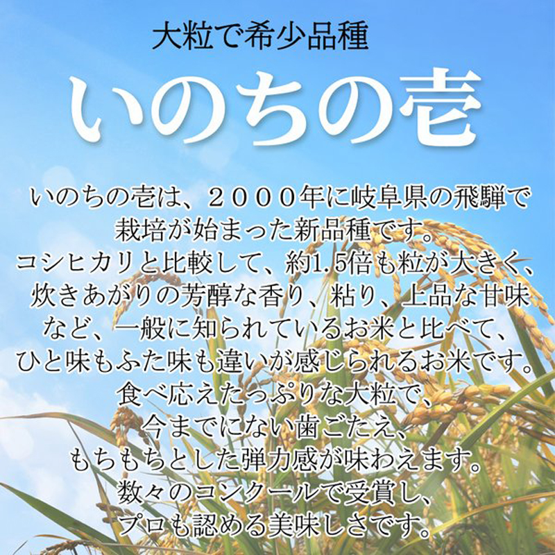 ２袋精米込み！農直！極良食味、最高級品種「いのちの壱」02年産 玄米30ｋｇ！ 楽天市場】いのちの壱 2kgの通販