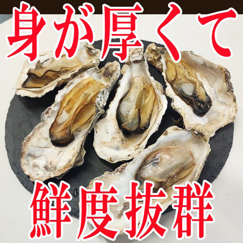 牡蠣 瞬間冷凍 レンジでチン 国産 宮城県産 300g 5〜7個入り 蒸し牡蠣 お試し 冷凍 お取り寄せ 肉厚 時短 送料無料 殻付き [宮城県産生牡蠣1袋]  ship-sd :kaki-300g:東北の農産特産品アグリパートナー - 通販 - Yahoo!ショッピング