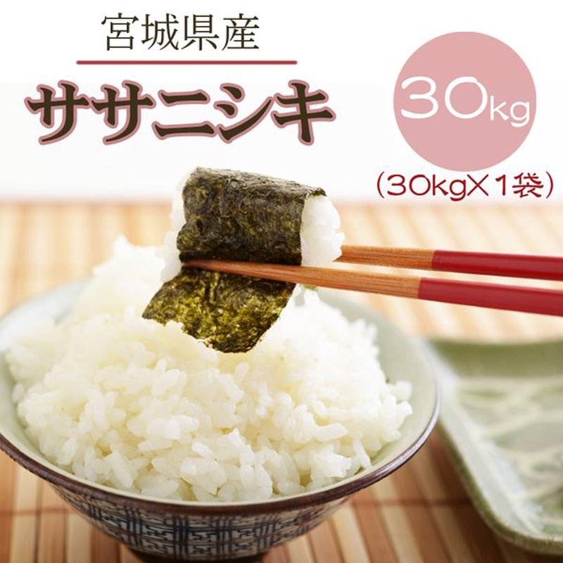 米 お米 ササニシキ 玄米30kg 令和5年産 宮城県産 白米・無洗米・分 