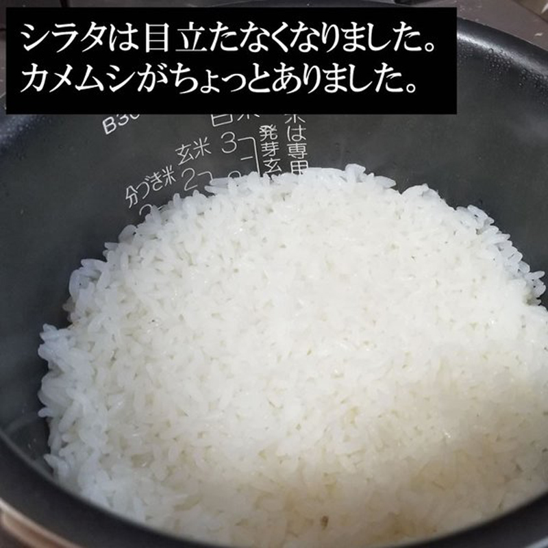 米 生活応援米（当店ブレンド米より下ランク） 白米30kg ×1袋 令和4年度 送料無料 徳用 お試し 業務用 訳あり ご家庭用