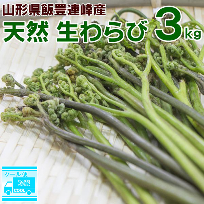 SALE／92%OFF】 干しわらび 200g 送料無料 山形県飯豊町産 メール便 pdct.kinniyazone.lk