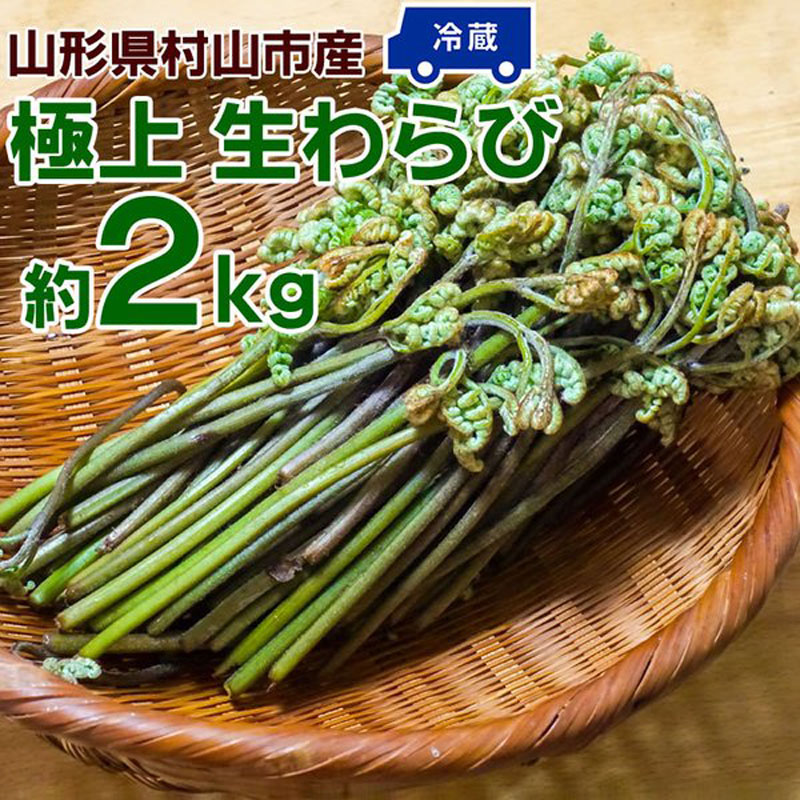 予約販売 わらび 2kg (1kg×2束) 山形県 村山市産 極上 生 山菜 ワラビ