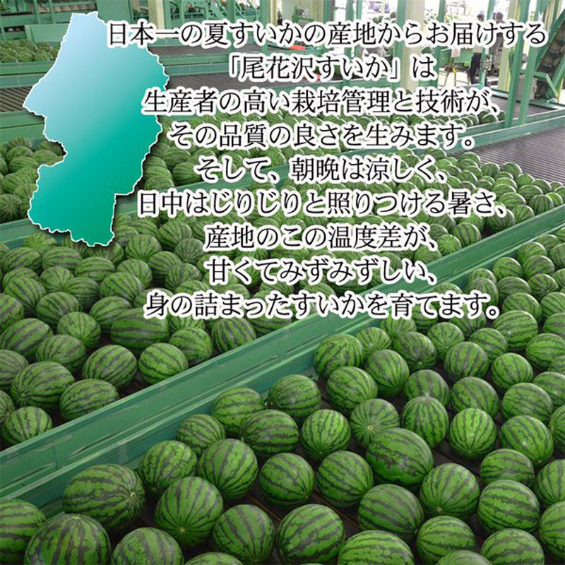 dショッピング |尾花沢すいか 特大玉 5L スイカ 西瓜 果物 フルーツ