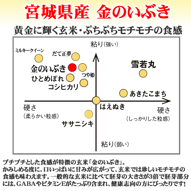 米 玄米 30kg (30kg×1袋) 金のいぶき 令和6年産 宮城県産 送料無料