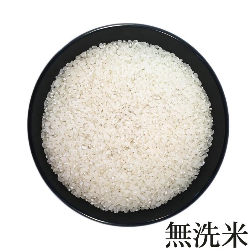 米 お米 10kg×1 つや姫 玄米10kg 令和4年産 山形産 白米・無洗米・分づきにお好み精米 送料無料 当日精米