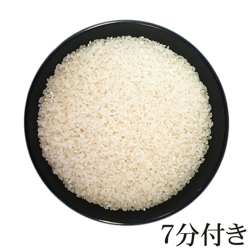 米 お米 5kg×4 つや姫 玄米20kg 令和5年産 山形産 白米・無洗米・分