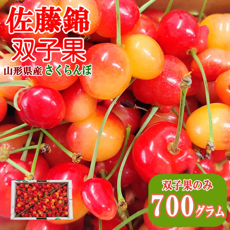予約販売 6月中旬〜6月下旬頃発送予定 さくらんぼ ご家庭用 双子果