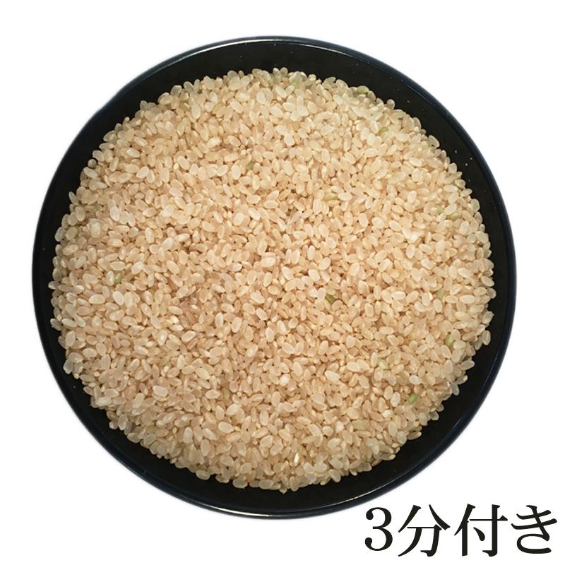 令和4年産 米 お米 10kg×3 はえぬき 玄米30kg 山形産 白米・無洗米・分づきにお好み精米 送料無料 当日精米