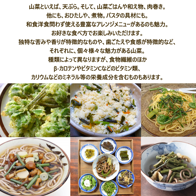山形県産 促成 山菜 うるい 1kg (100g×10パック) 送料無料
