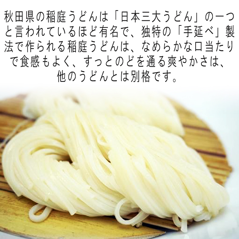 稲庭うどん 90g つゆ付 お試し 一人前 メール便 送料無料 手土産 い