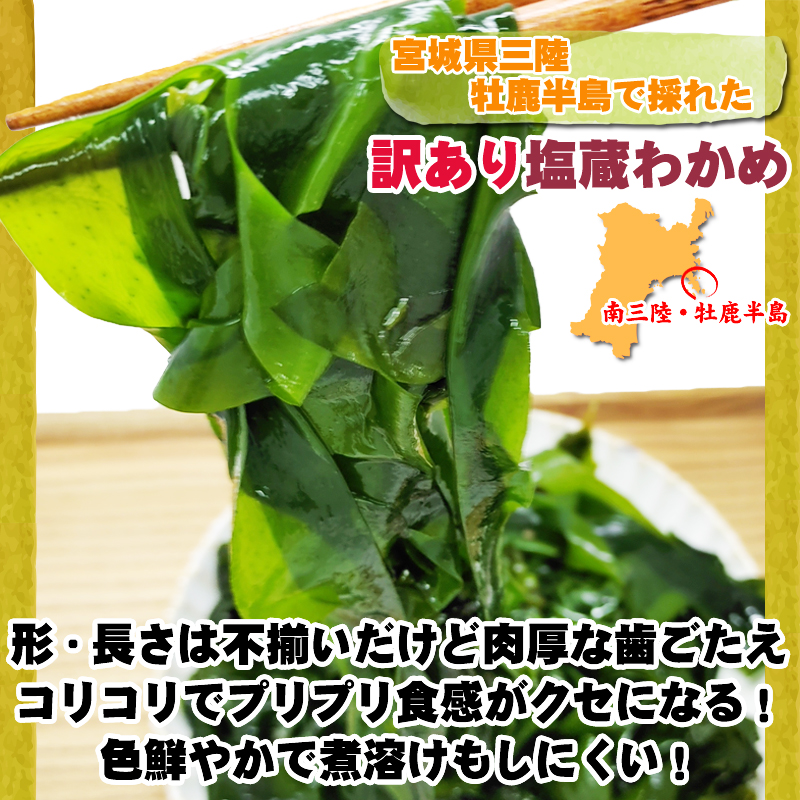 訳あり 塩蔵 湯通しわかめ 600g 宮城県 三陸産 手作り技法 無添加 無