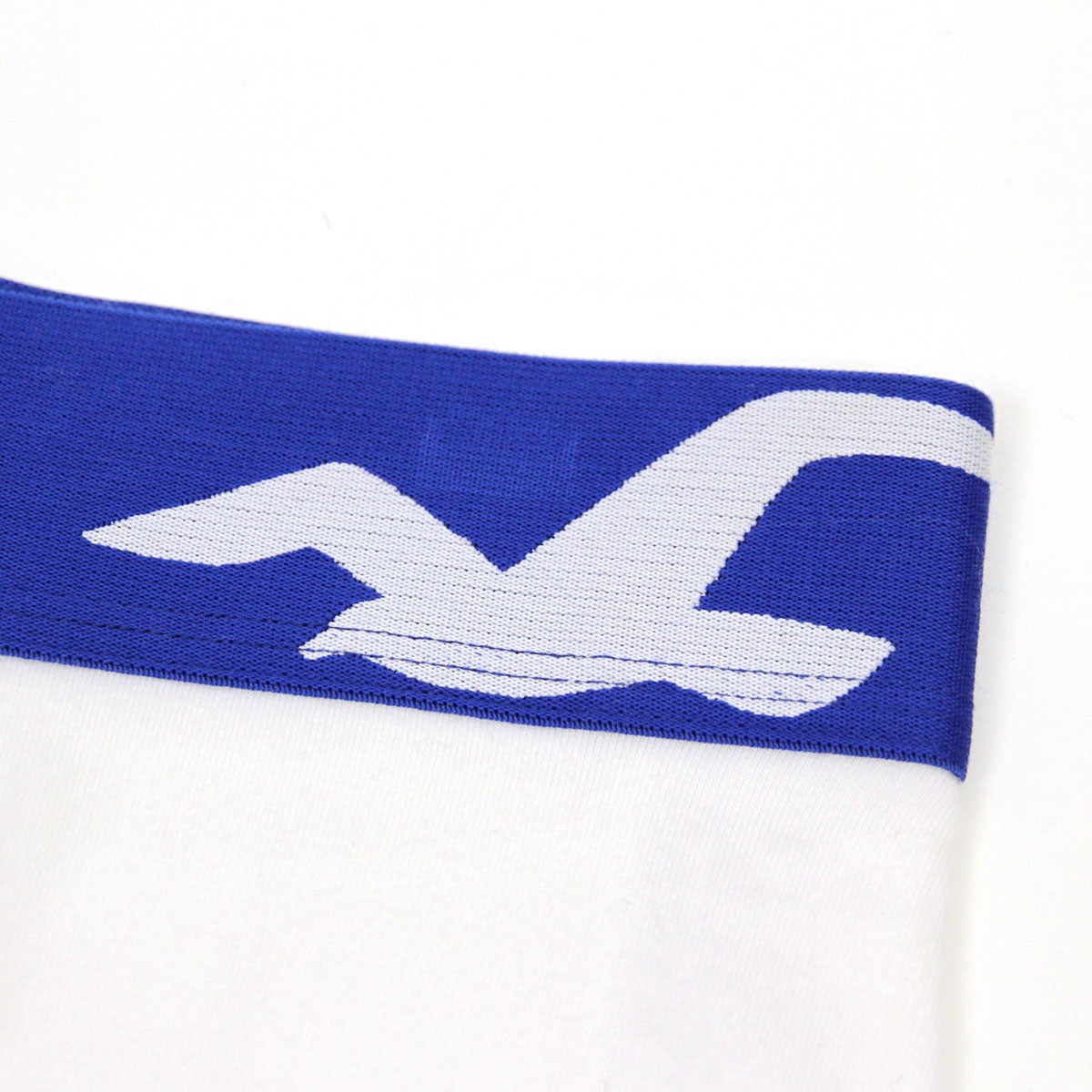 ホリスター HOLLISTER 正規品 メンズ トランクス TRUNK FIT