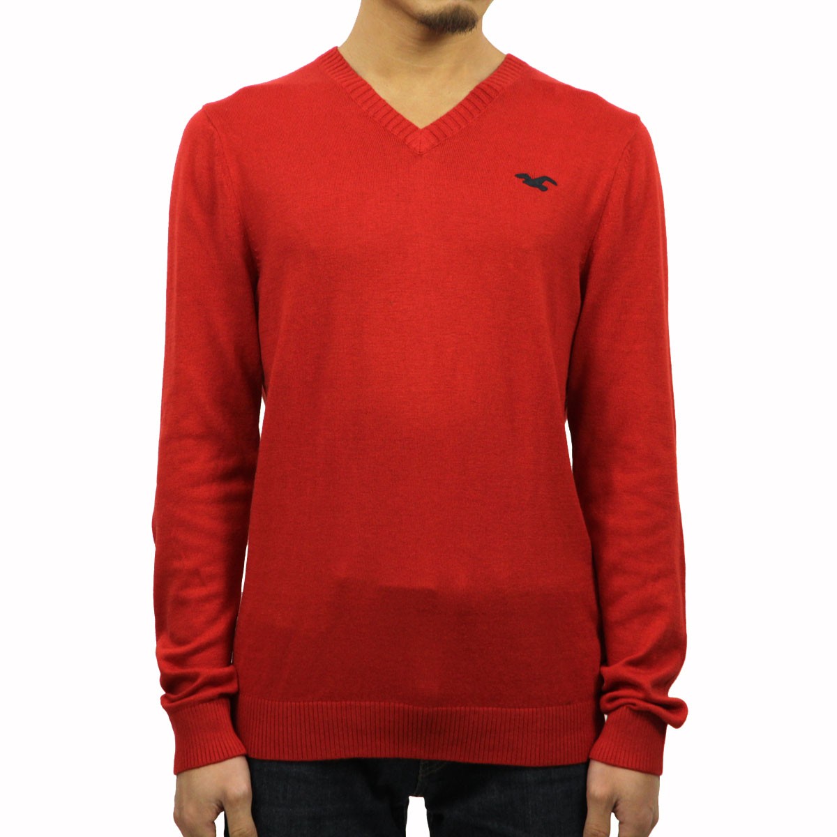 Hollister ホリスター メンズ HOLLISTER 正規品 セーター Iconic V 