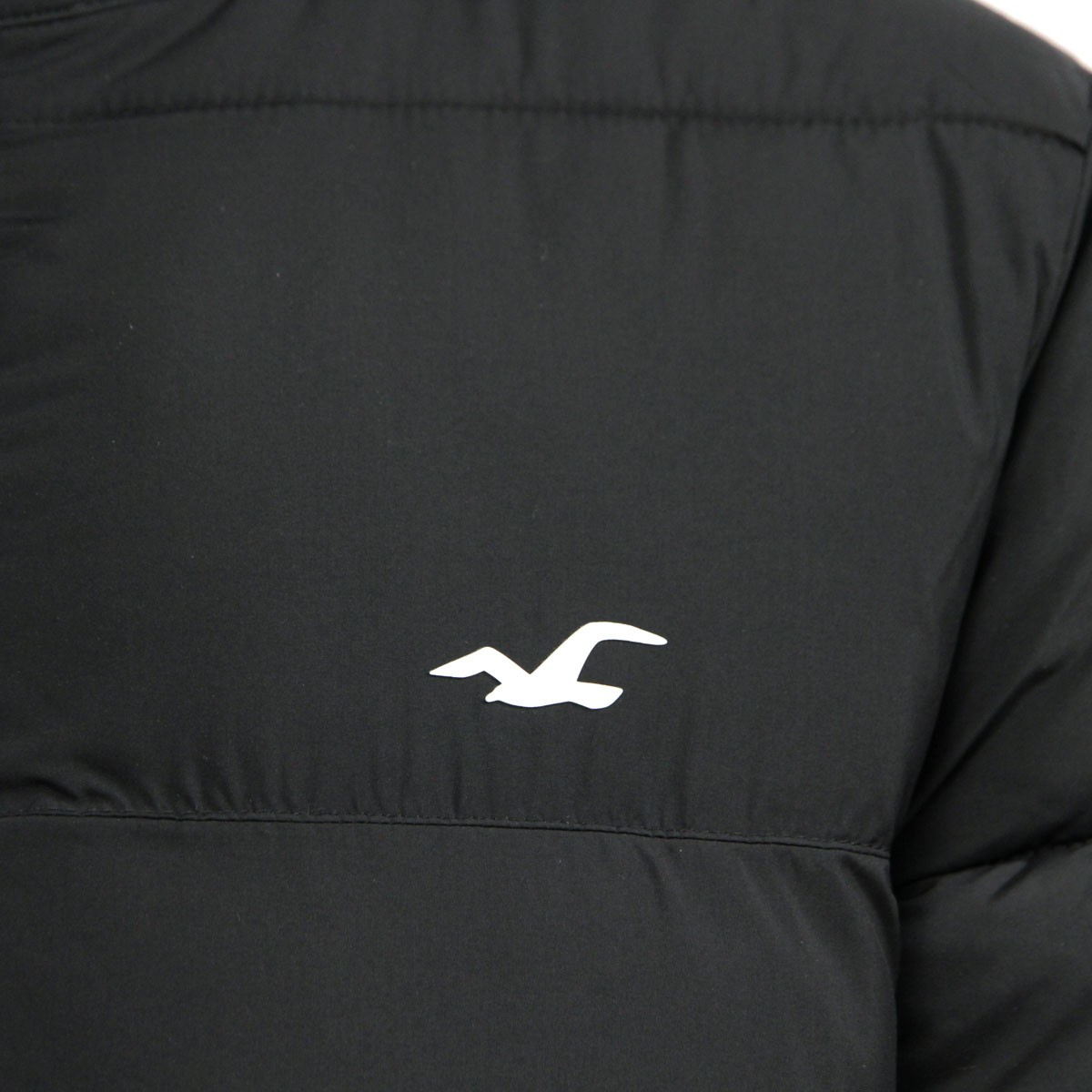 Hollister ホリスター アウター メンズ 正規品 HOLLISTER