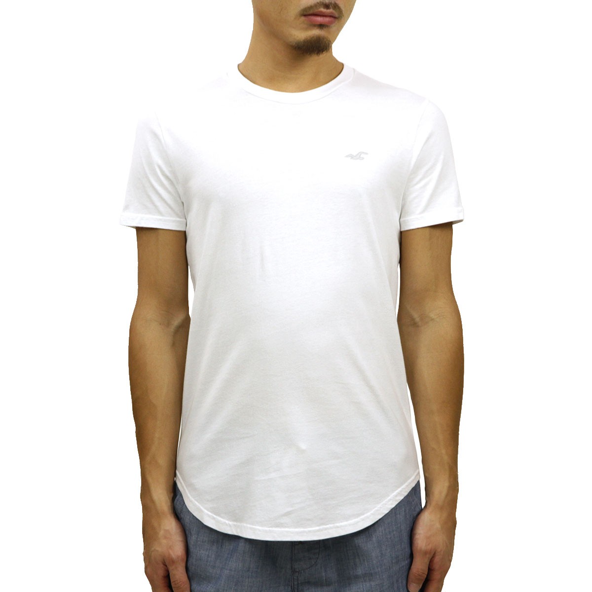 Hollister ホリスター Tシャツ メンズ 正規品 HOLLISTER 半袖T