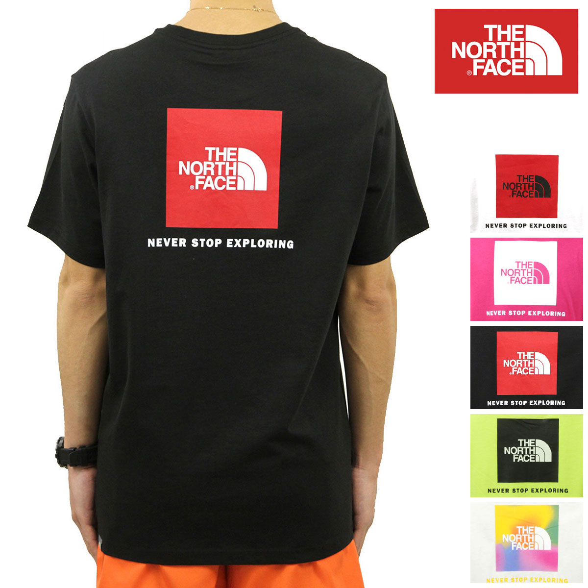 ノースフェイス Tシャツ メンズ 正規品 THE NORTH FACE 半袖T