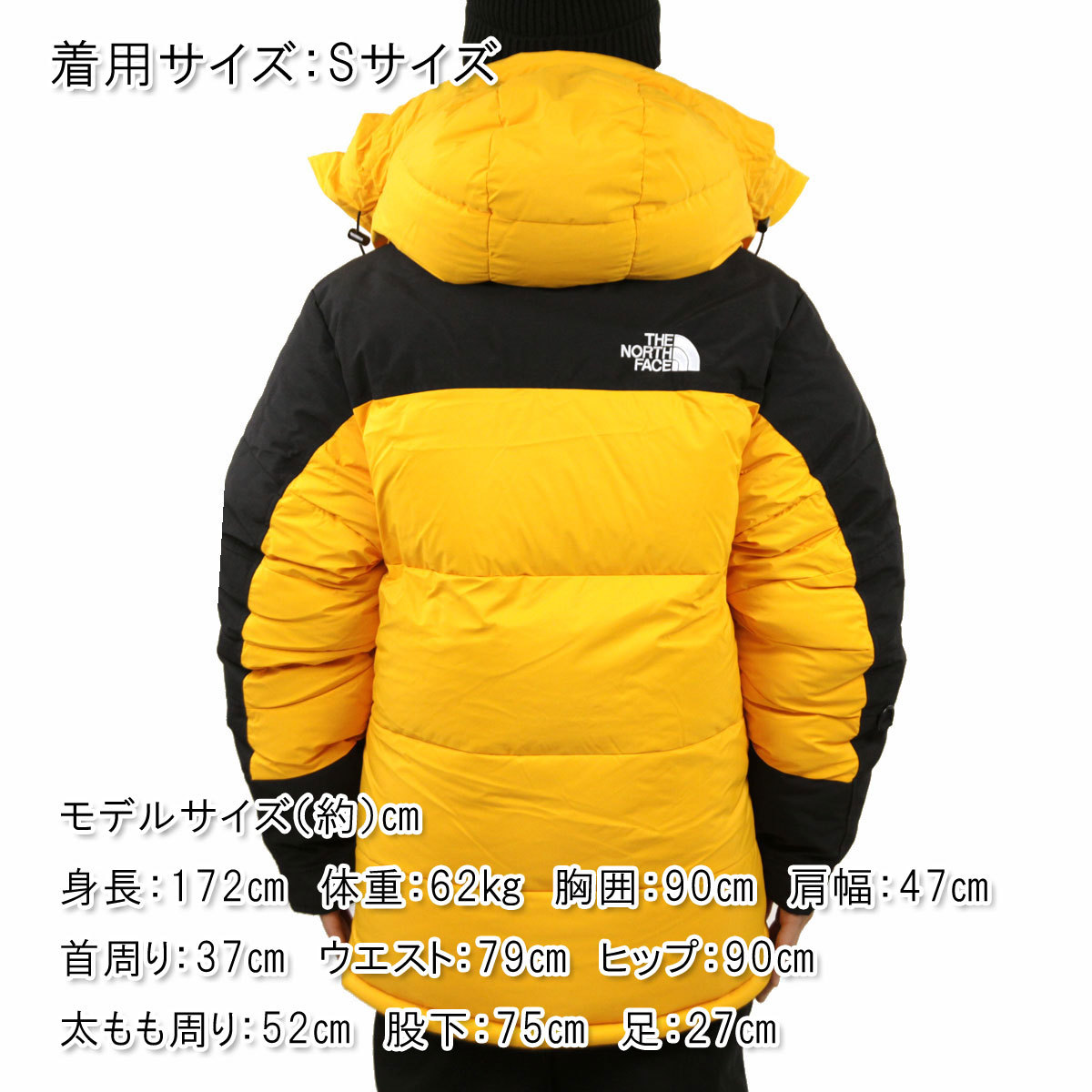 ◇モデル出品◇新品 Mサイズ ノースフェイス 1994 レトロ