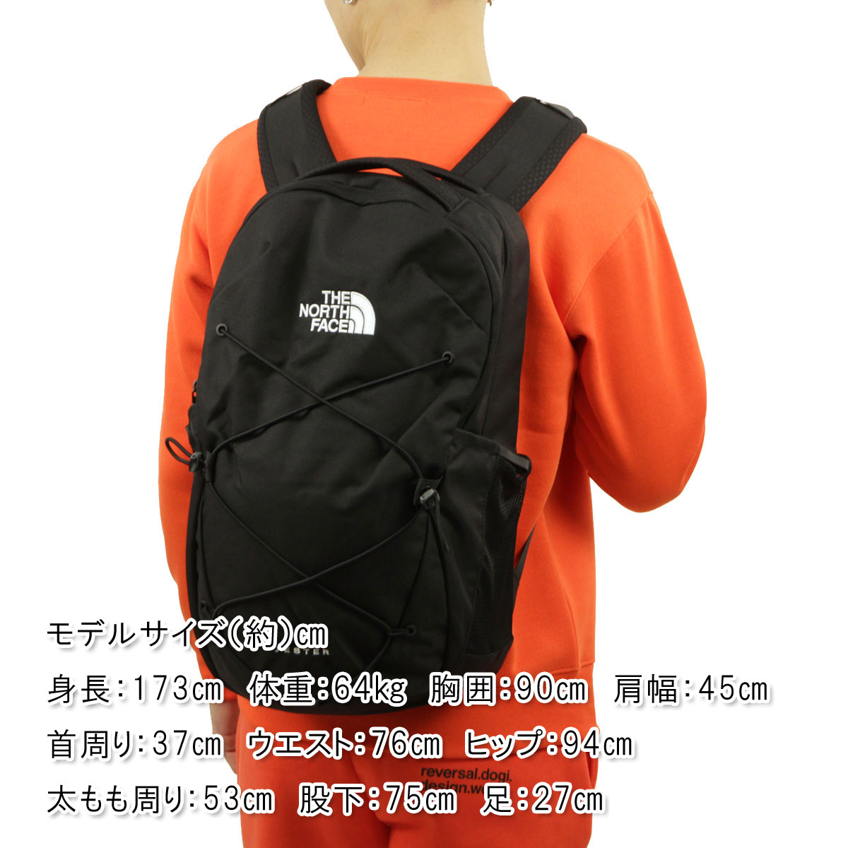 THE NORTH FACE（ザ ノースフェイス） 5%OFFクーポンセール 【利用期間