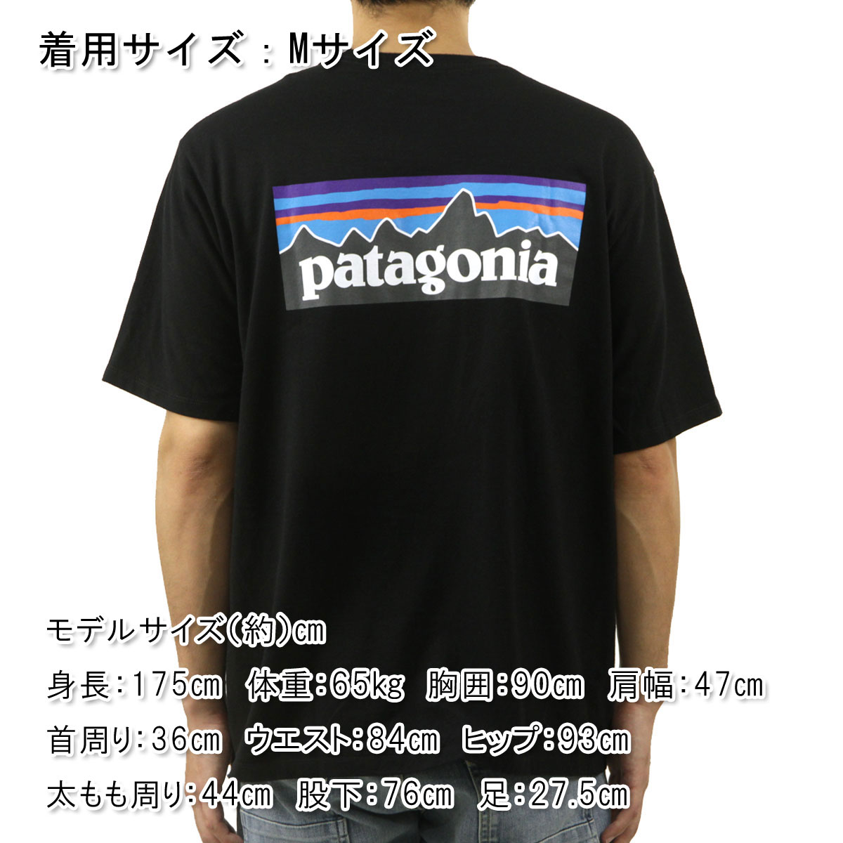 patagonia（パタゴニア） メンズ 半袖Tシャツ 正規品 クルーネック 