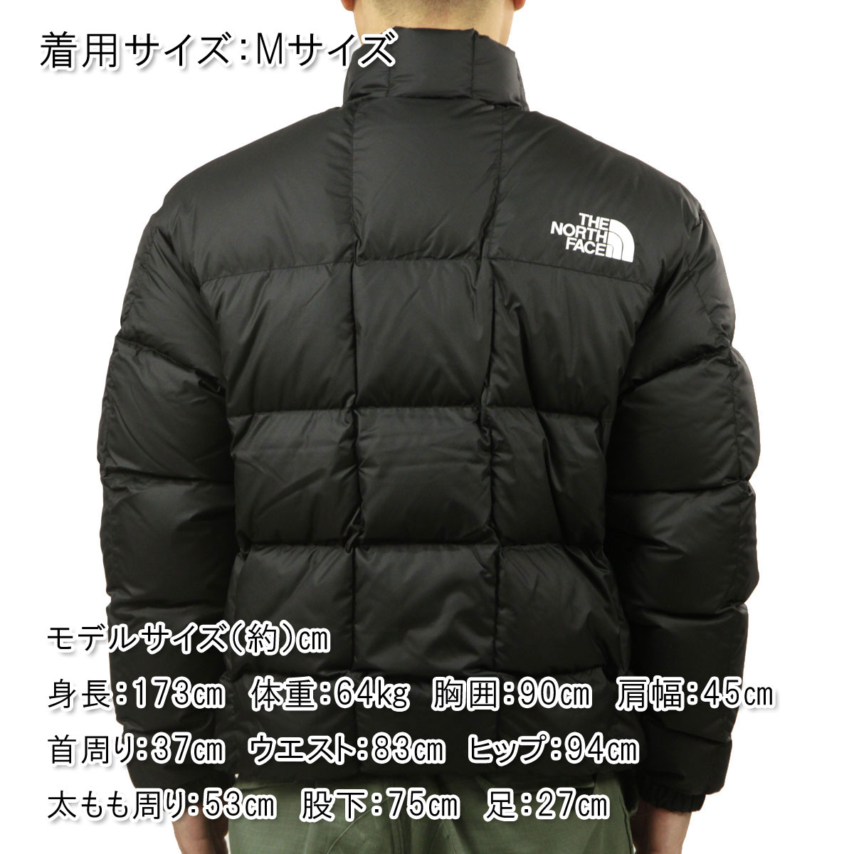 THE NORTH FACE（ザ ノースフェイス） ノースフェイス メンズ ダウン