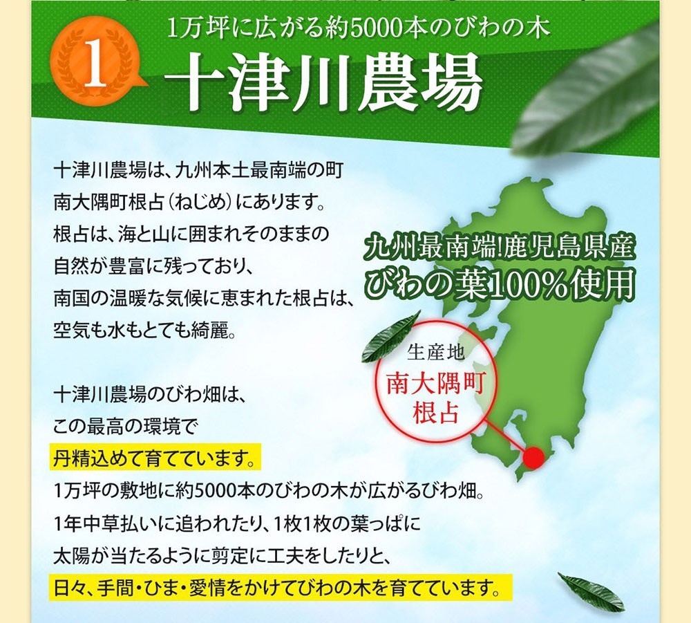 ねじめびわ茶 十津川農場 2g×200包 国産 ノンカフェイン 健康茶 無香料