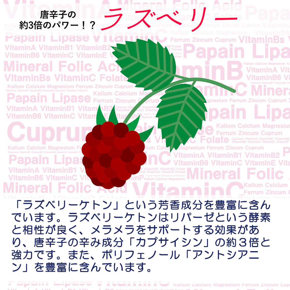 ラズベリーダイエット酵素 ラズベリーダイエット酵素