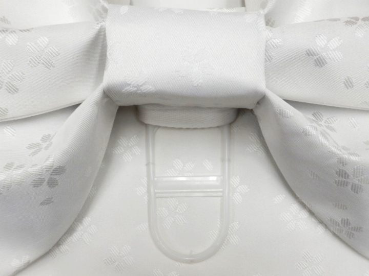 蝶帯3
