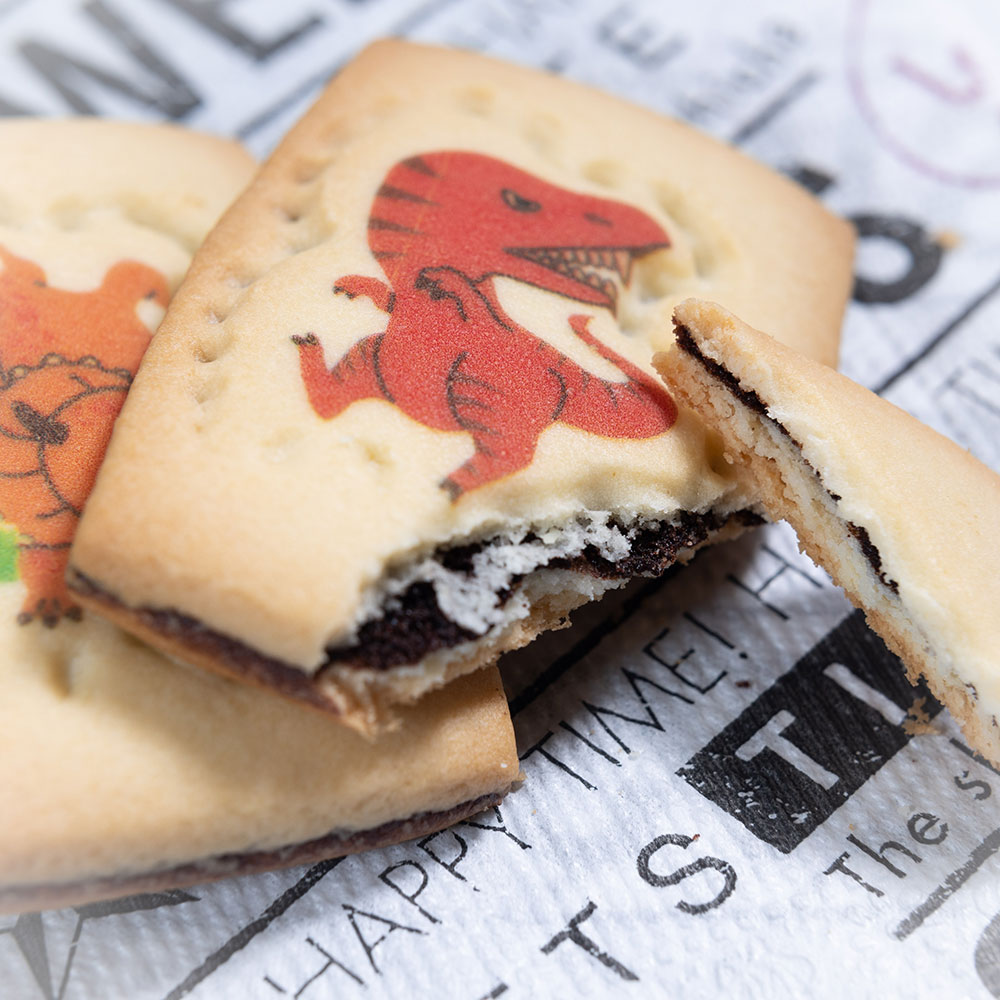 福井 恐竜びより 恐竜クッキー 8個入り お土産 ナガトヤ 長登屋公式