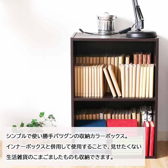 不二貿易（Fuji Boeki） カラーボックス 文庫本 漫画本 本棚 シェルフ 