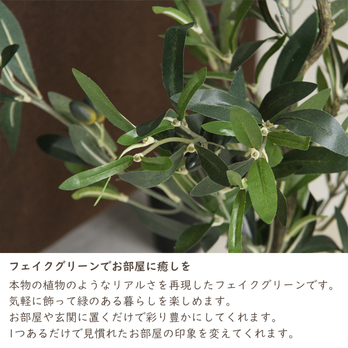 人工観葉植物 フェイクグリーン 大型 オリーブ : fgb-2689 : あなたの