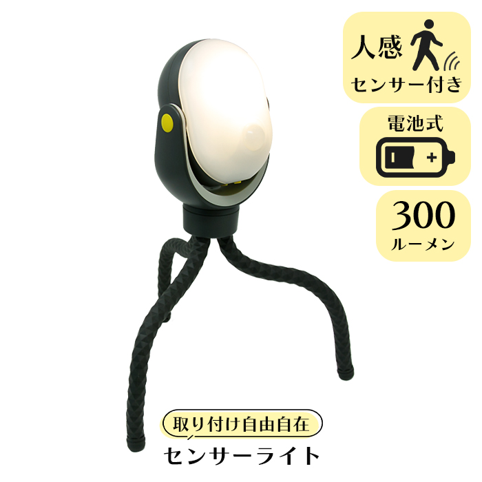 LEDZT[Cg lZT[Cg O dr hƃCg ǂłt hƓ ԏƖ RITEX