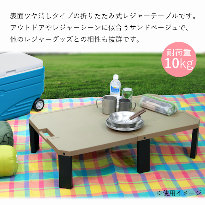 レジャーテーブル 折りたたみ 90×55cm 軽量 長方形 プラスチック 日本