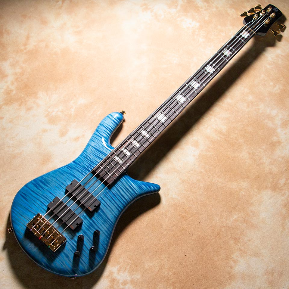 Spector/Euro5 LX Premium Wood Limited Bahama Blue Stain Gloss 展示