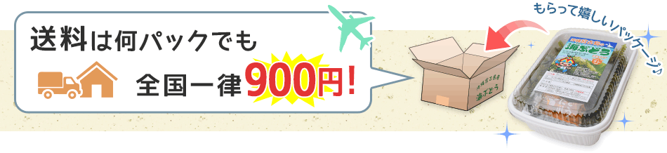 送料は何パックでも全国一律900円