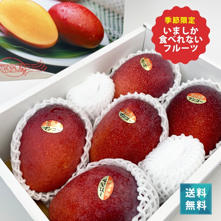 送料無料 高糖度の沖縄産マンゴーを宮古島から産地直送します。産地直送 宮古島マンゴー 沖縄産 約1kg 2〜3玉 秀品〜優品 贈答可能 産地箱入り 生産量日本一の宮古島が誇るアップルマンゴー！予約販売中6月下旬より順次発送