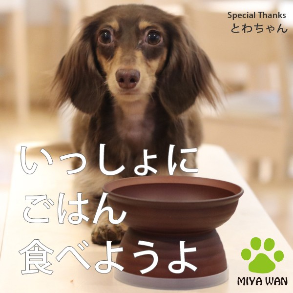 うつわやみたす　わんちゃんプレート ファッションキッチン・日用品・その他 - うつわやみたす 犬