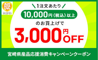 3,000円OFFクーポン