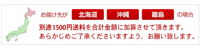宮崎県産 ニューピオーネ シャインマスカット 梨