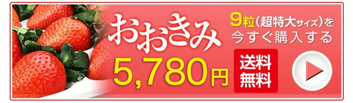 おおきみ 超特大サイズ 9粒