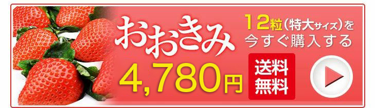 おおきみ 特大サイズ 12粒