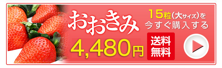 おおきみ 大サイズ 15粒