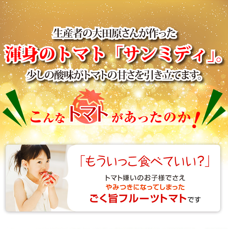 サンミディ2